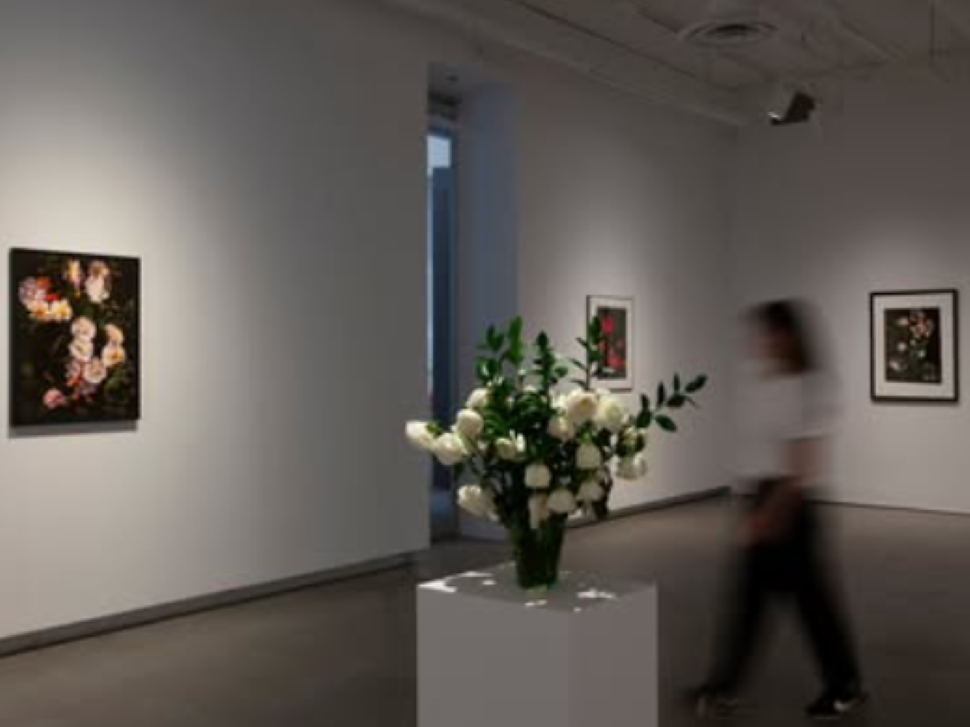 Floral photography makes space for grief at Plug In ICA
